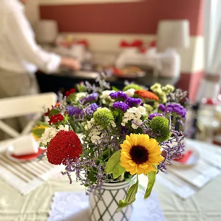 Ca Leon 招待所 3*